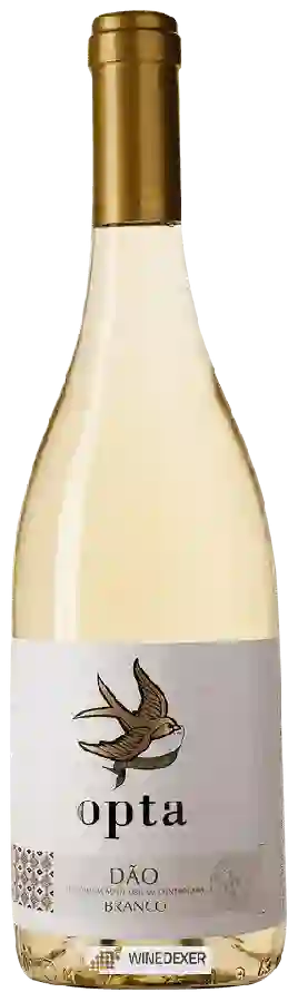 Winery Opta - Branco Winery Opta - Branco