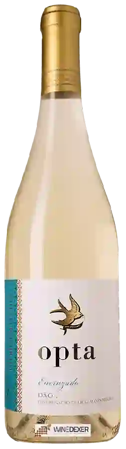 Winery Opta - Encruzado