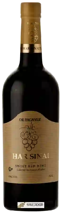 Winery Or Haganuz - Har Sinai (הר סיני) Winery Or Haganuz - Har Sinai (הר סיני)