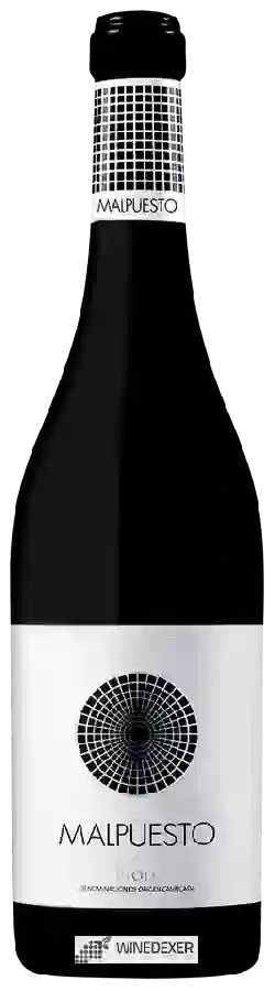 Winery Orben - Malpuesto Winery Orben - Malpuesto