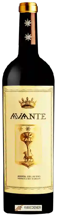 Winery Ordóñez - Avante