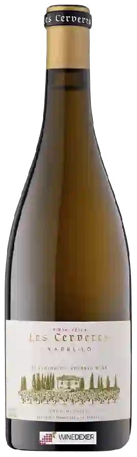 Winery Oriol Rossell - Les Cerveres Winery Oriol Rossell - Les Cerveres