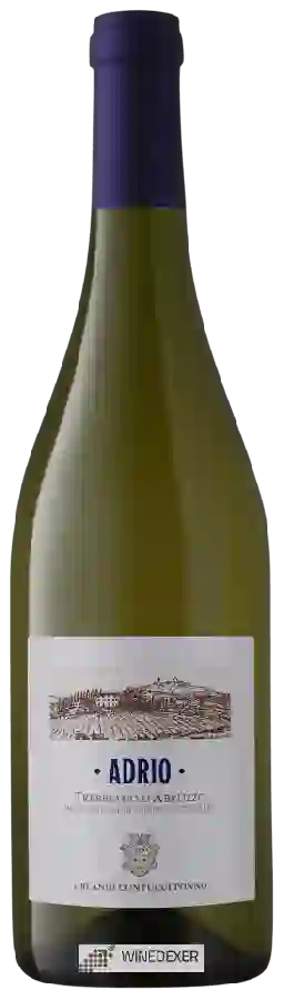 Winery Orlandi Contucci Ponno - Adrio Trebbiano d'Abruzzo