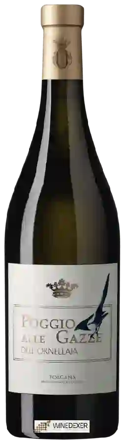 Winery Ornellaia - Poggio alle Gazze