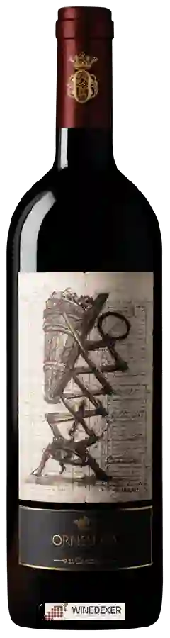 Winery Ornellaia - Vendemmia d'Artista Il Carisma Winery Ornellaia - Vendemmia d'Artista Il Carisma