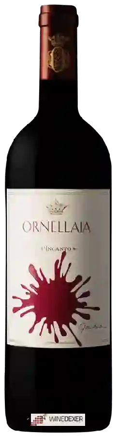 Winery Ornellaia - Vendemmia d'Artista L'Incanto Winery Ornellaia - Vendemmia d'Artista L'Incanto