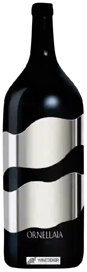 Winery Ornellaia - Vendemmia d'Artista La Celebrazione