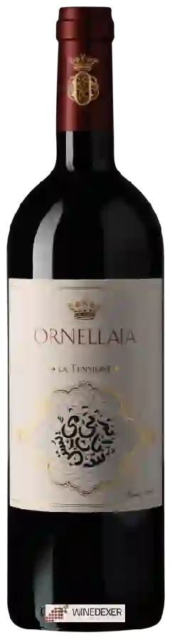 Winery Ornellaia - Vendemmia d'Artista La Tensione