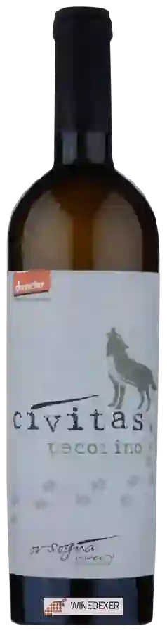 Winery Orsogna - Civitas Pecorino