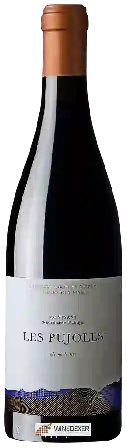 Winery Orto Vins - Les Pujoles Winery Orto Vins - Les Pujoles