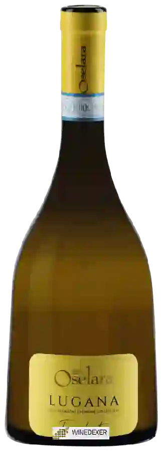 Winery Oselara - Terra Dorata