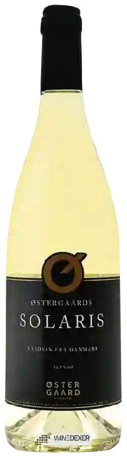 Winery Ostergaard - Solaris Winery Ostergaard - Solaris