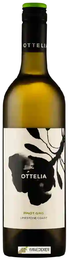 Winery Ottelia - Pinot Gris
