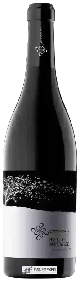 Winery Ottoventi - Nerello Mascalese