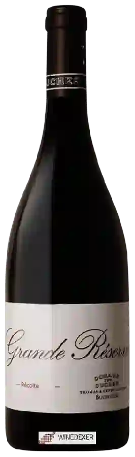 Domaine des Ouches - Grande Réserve Bourgueil Domaine des Ouches - Grande Réserve Bourgueil