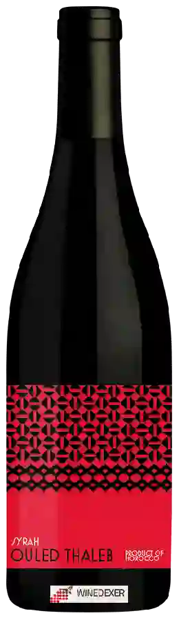 Domaine des Ouled Thaleb - Syrah Domaine des Ouled Thaleb - Syrah