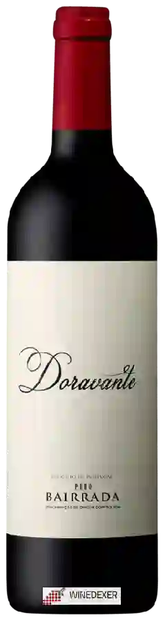 Winery Outrora - Doravante Puro Winery Outrora - Doravante Puro