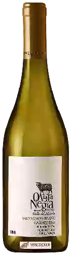 Winery Oveja Negra - Sauvignon Blanc - Carmenère Reserva