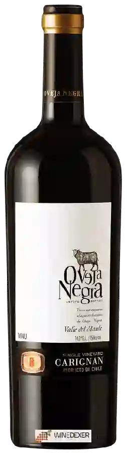 Winery Oveja Negra - Single Vineyard Carignan Winery Oveja Negra - Single Vineyard Carignan