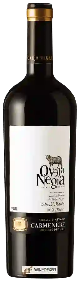 Winery Oveja Negra - Single Vineyard Carmenère