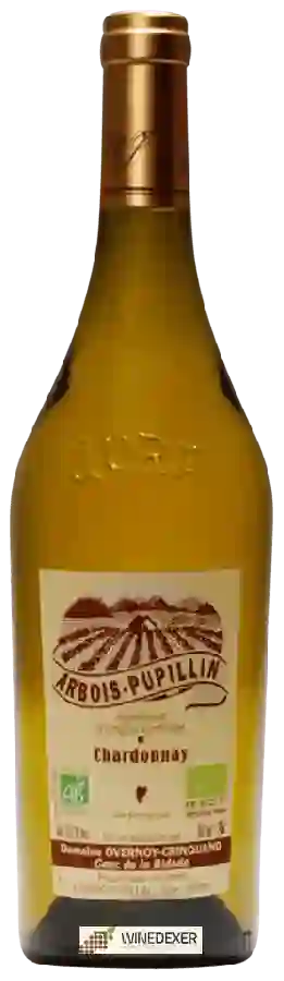 Domaine Overnoy Crinquand - Chardonnay Arbois-Pupillin