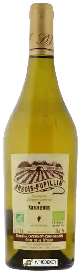 Domaine Overnoy Crinquand - Savagnin Arbois-Pupillin