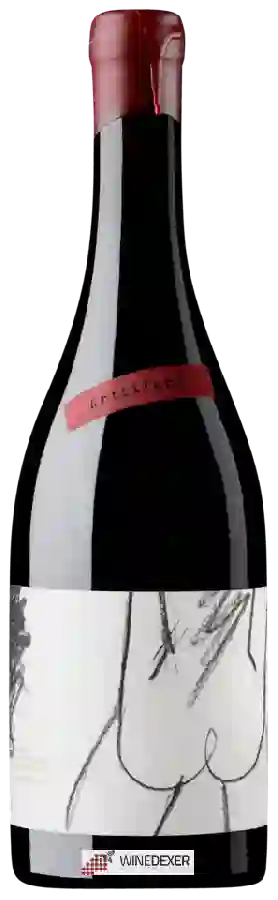 Winery Oxer Wines - Artillero