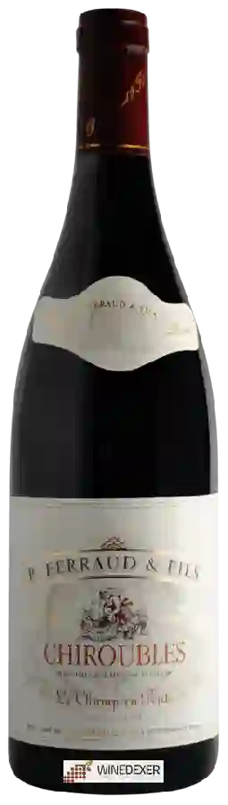 Winery Pierre Ferraud & Fils - Le Champ en Pente Chiroubles