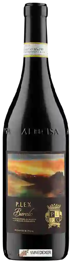 Winery P.Lex - Barolo Winery P.Lex - Barolo