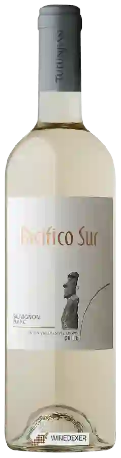 Winery Pacifico Sur - Sauvignon Blanc Winery Pacifico Sur - Sauvignon Blanc