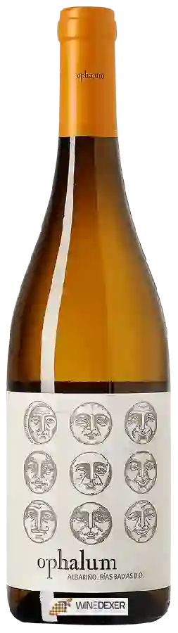 Winery Paco & Lola - Ophalum Albariño Winery Paco & Lola - Ophalum Albariño