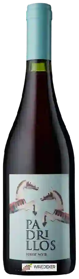 Winery Padrillos - Pinot Noir