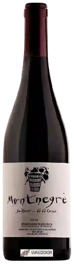 Winery Ca Sa Padrina - Montnegre