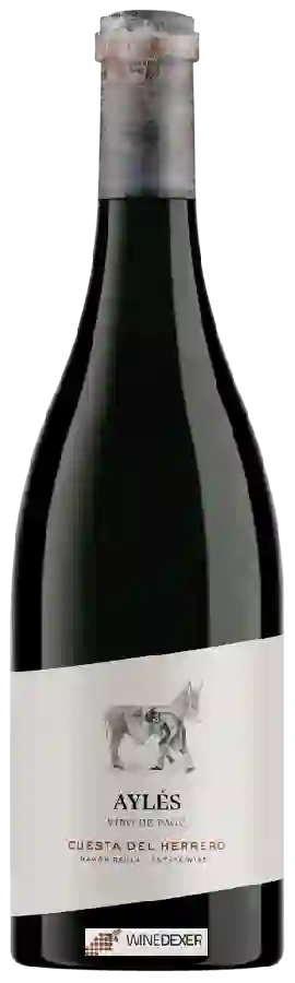 Winery Pago Aylés - Cuesta del Herrero Winery Pago Aylés - Cuesta del Herrero