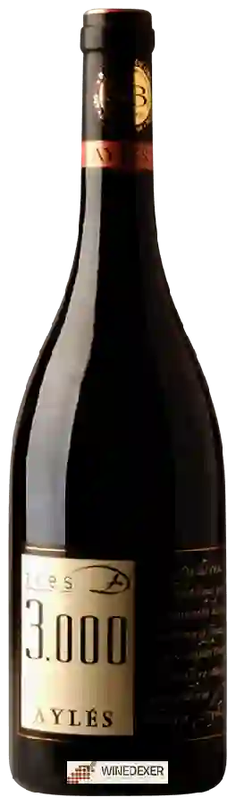 Winery Pago Aylés - Tres de 3.000