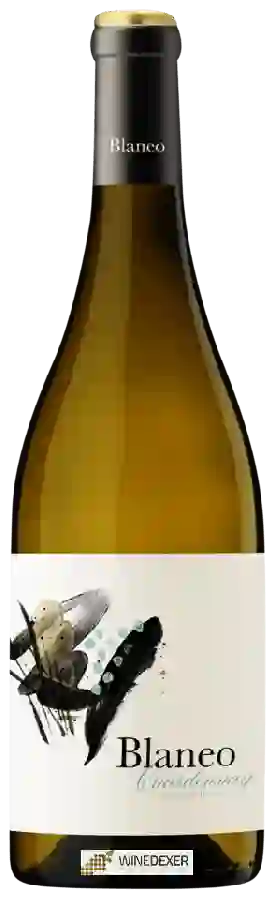 Winery Pagos de Aráiz - Blaneo Chardonnay