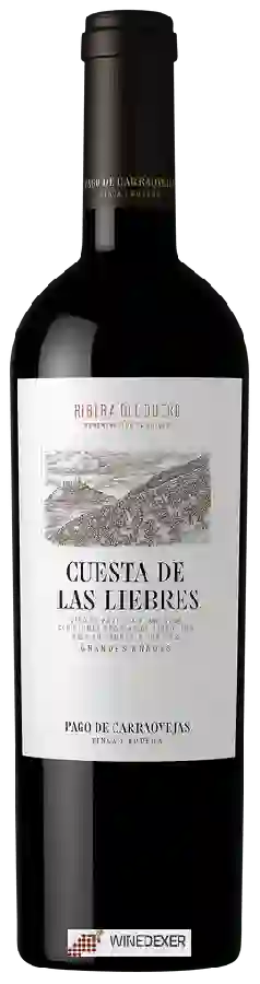 Winery Pago de Carraovejas - Cuesta de Las Liebres Winery Pago de Carraovejas - Cuesta de Las Liebres