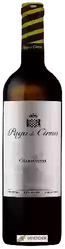 Winery Pago de Cirsus - Chardonnay