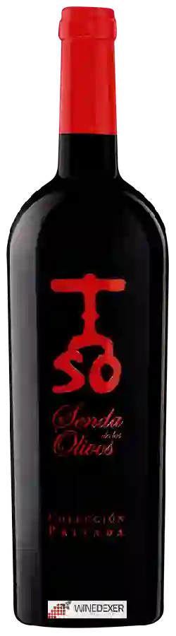 Winery Pago de Cirsus - Senda de los Olivos Colección Privada