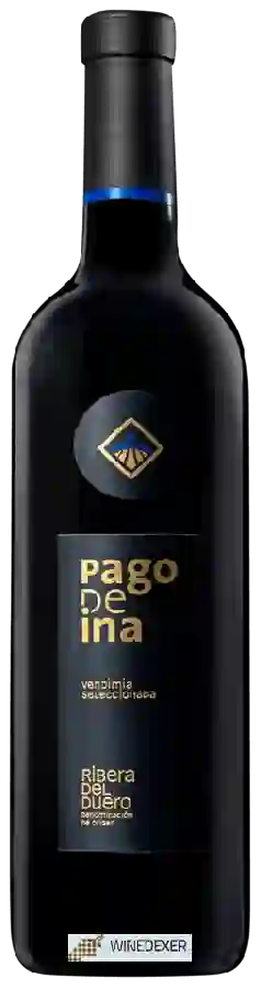 Winery Pago de Ina - Vendimia Seleccionada