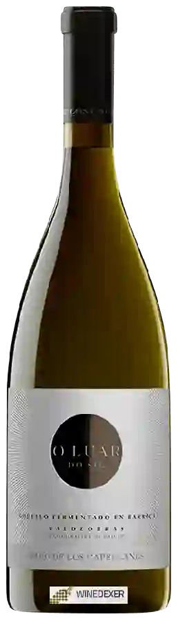 Winery Pago de Los Capellanes - O Luar do Sil Godello Fermentado en Barrica