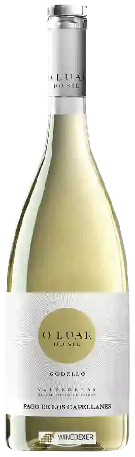Winery Pago de Los Capellanes - O Luar do Sil Valdeorras Godello Winery Pago de Los Capellanes - O Luar do Sil Valdeorras Godello