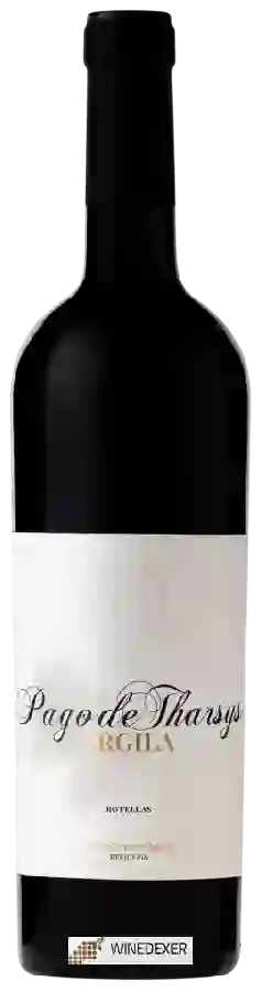 Winery Pago de Tharsys - Argila Merlot