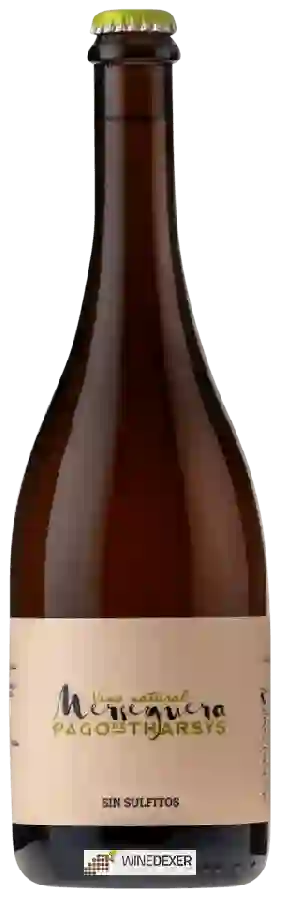 Winery Pago de Tharsys - Merseguera Natural Winery Pago de Tharsys - Merseguera Natural