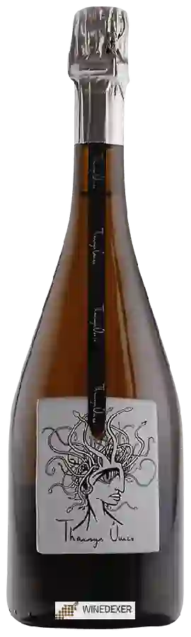 Winery Pago de Tharsys - Tharsys Único Winery Pago de Tharsys - Tharsys Único