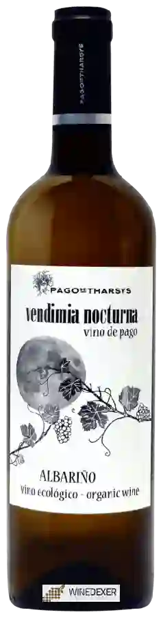 Winery Pago de Tharsys - Vendimia Nocturna Winery Pago de Tharsys - Vendimia Nocturna