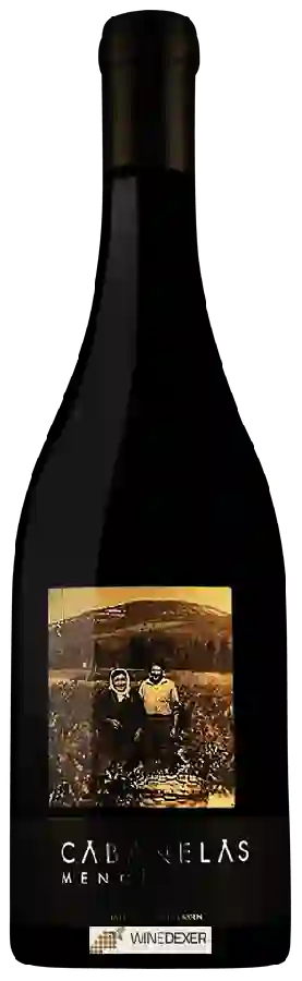 Winery Vinos Valtuille - Cabanelas Mencia Winery Vinos Valtuille - Cabanelas Mencia