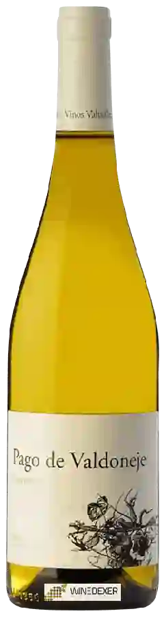 Winery Vinos Valtuille - Pago de Valdoneje Godello