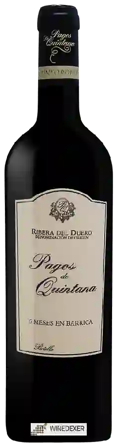 Winery Pagos de Quintana - Roble