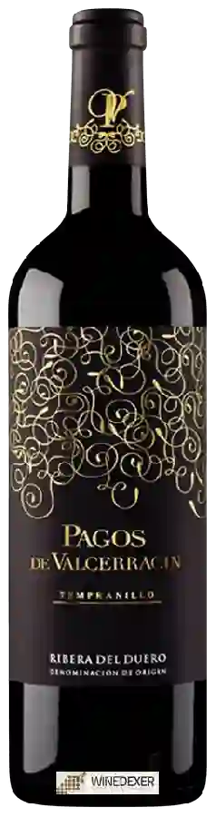 Winery Pagos de Valcerracín - Tempranillo Winery Pagos de Valcerracín - Tempranillo